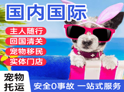 图木舒克唐王城机场托运国际宠物托运 【国
